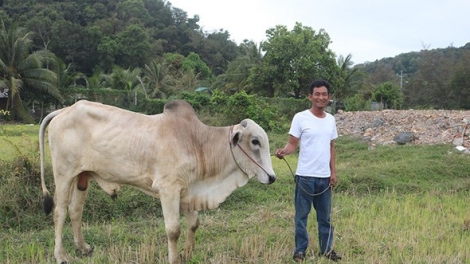 ខេត្តគៀងយ៉ាងគិគូរខាងជីវភាពវប្បធម៌ និងស្មារតីជូនបងប្អូនខ្មែរ។	