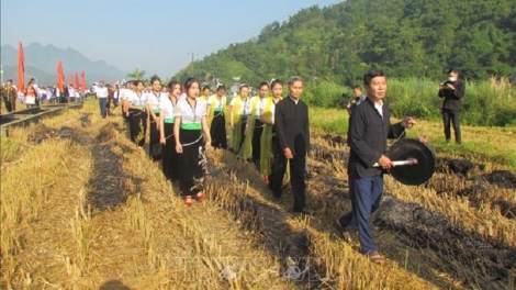 Gheih mekre Harei pataom ngak adat Kin lẩu khẩu mẩu di urang bangsa Thái daok di Lai Châu