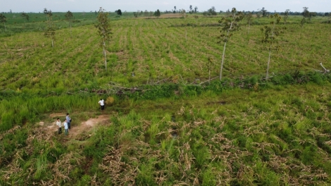 Knơ̆ng bruă ti  Dak Lak bi rai dliê pla ana Akaci