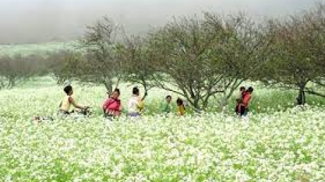 NHÀ EM Ở LƯNG ĐỒI