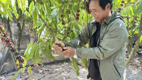 Mưh kon pơ lei kon kông băt iŏk yua jên vă klăih đơ̆ng dơnuh hin