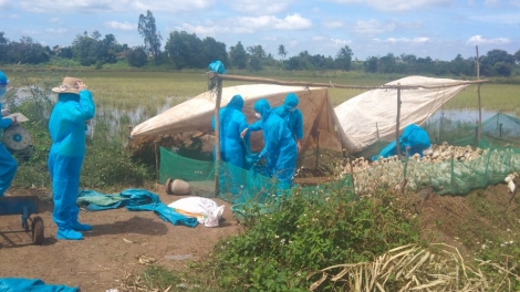 Dak Lak: Mâo anôk mâo klei ruă mnŭ ada ti kdriêk Krông Pač