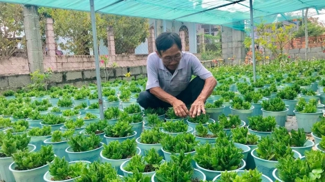 URANG NGAK NONG DI XÃ TIEN LOI JAR VAR TAME BILAN PALA BINGU TET