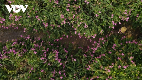 T'RUIH T'NGAY 21/11/2022