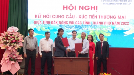 Dak Nông tơdjêp mơjiâng pro tơmeăm ƀă tơdroăng kal vâ ki phá tơ-ê ƀă mâu kong pơlê, pơlê kong kơdrâm