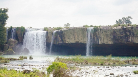 Cám ơn Nhà nước