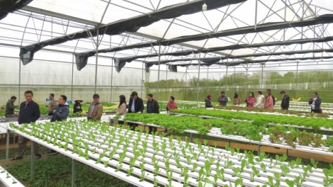 MĐĬ BOH TŬ BOH MNGA BRUĂ LŎ HMA KRĬNG ČƯ̆ ČHIĂNG KNÔNG LĂN QUẢNG TRỊ