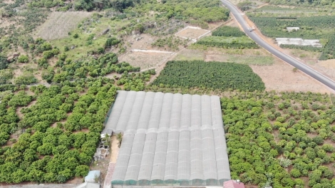 Chương trình phát thanh quam Tay thứ 5 mự 10 bườn 11 pì 2022