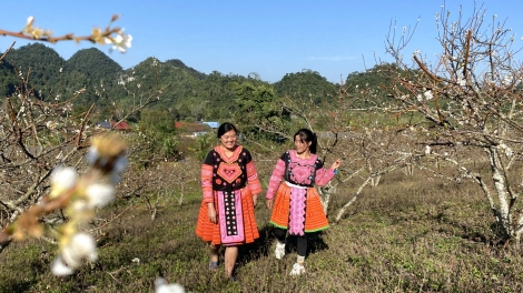 Chương trình phát thanh vằn nghệ thứ 7 mự 12 căm bườn 11 pì 2022