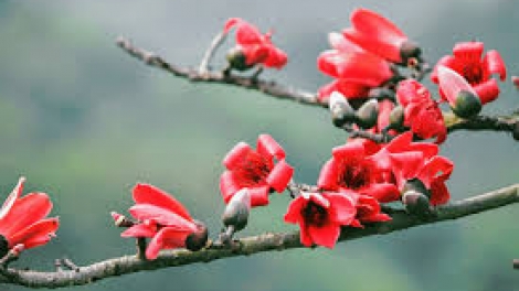 T'RUIH T'NGAY 16/11/2022