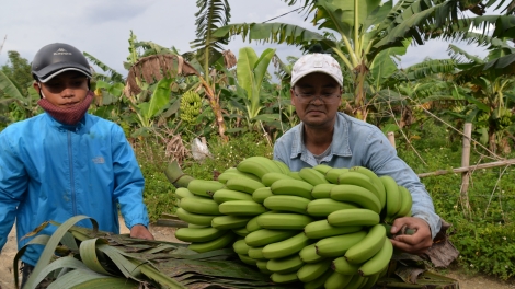 Thừa Thiên Huế: T’hước ooy tô bhuh, bhươl cr’noon doọ dzợ vêy pr’loọng đong đharựt