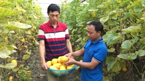 Hơnhăk chŏh jang sa kmăi kmŏk hơgei vĭh hăm kon pơlei