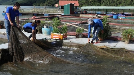 PAMBUAK VEIK, BA BRUK NGAK KA URANG NGAK LAC DAM DARA BANGSA TAKIK