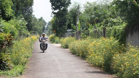 ĐONG NAI: DUI PACHREIH URANG BUH JIEN TAME PADANG PALEI PALA BAHRAU DALAM JANG