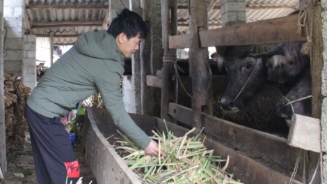 Chương trình phát thanh quam Tay thứ 2 mự 7 bườn 11 pì 2022