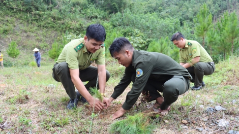 Ban K’đhơợng lêy crâng g’mrâng Tây Giang choh 3.000 tơơm n’loong