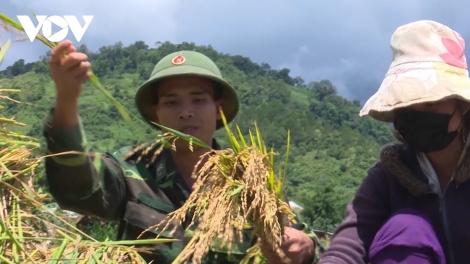 ការវិវឌ្ឍនៅតំបន់ព្រំដែនមានបងប្អូនជនរួមជាតិភាគតិចរស់នៅចំណុះខេត្តក្វាងណាម។ 