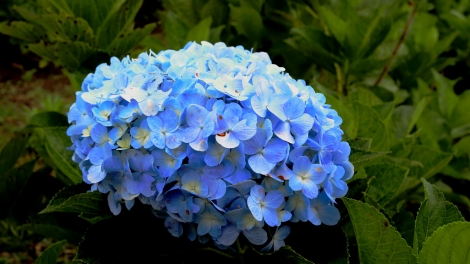 T'RUIH T'NGAY 10/11/2022