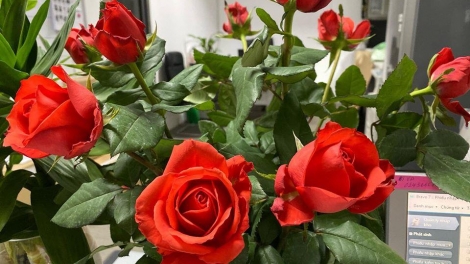 T'RUIH T'NGAY 19/11/2022