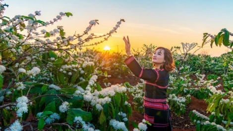 Nghiêng về Tây Nguyên