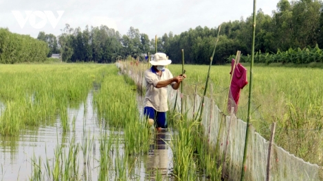 URANG NGAK NONG HAU GIANG PATUI HATAI PO LANGIK DALAM BILAN IA NDIK