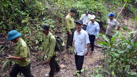 Quảng Nam vêy lâh 331.000 ha đơơng đoọng zên chroot zư lêy crâng