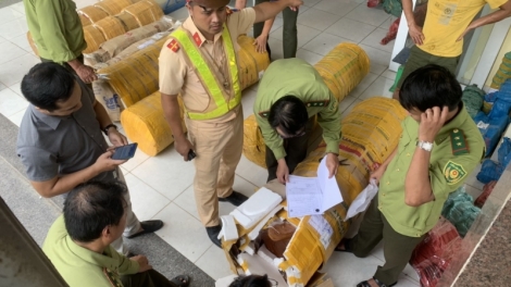 Quảng Nam: Bơơn lêy tu bhiệc âng đơơng n’loong trắc căh ghit tơơm riah