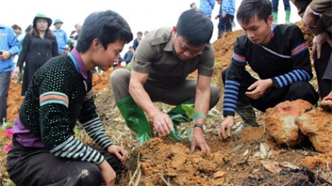 Tẩu công tzấu pun miền tzấu công lún múa tỏi phính miền tzộ