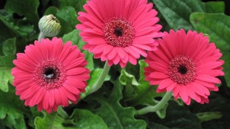 T'RUIH T'NGAY 2/11/2022