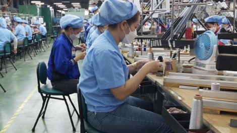 Đà Nẵng: Lâh 1000 cha năc bơơn bh’rợ đhị 33 g’luh giao dịch bh’rợ tr’nêng