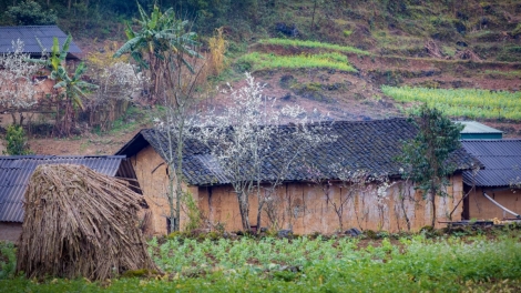 Manuyh ta béch g’lăng coh bhươl cr’noon ađoo pân đil da ding k’coong tơợp bhrợ cha tơợ râu liêm choom âng vel đong