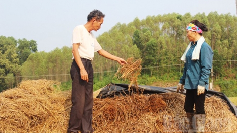 Chaoz ốp miaz kếu xiêu miaz pun tào xanh nhản hoi 30/11/2022 (Kỹ thuật chế biến và bảo quản thức ăn thô)