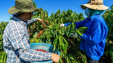 Rak vế inâi mâu tơmeăm ki má môi kơpong vâi krâ hdroâng kuăn ngo ƀă kong ngo