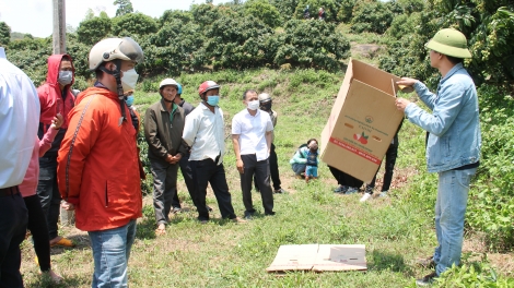 Dak Lak bơ̆jang hơdai hơtŏk kơjă tơmam đơ̆ng choh jang sa