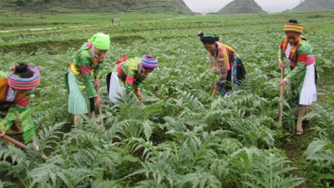 Hà Giang- Lơh bè lơi nàng gơ hòi gơ jà ală mpồl lơh sa kă bro bơcri priă tàm tiah làng bol kòn cau dùl ết nă cau mờ tiah kơh bơnơm in