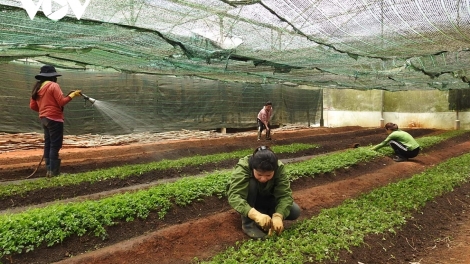                BA ILAMU KONG NGHE MAI PALEI DI KON TUM