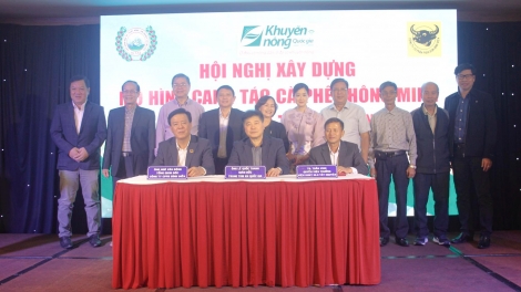 Rôh hôp Tơrŭm cheăng mơdêk pêt kơphế a kơpong Tây Nguyên