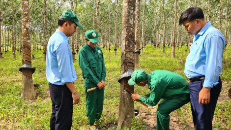 Gia Lai: Rơnó Hơngui vêh a kơpong tơkăng kong Ia Mơr