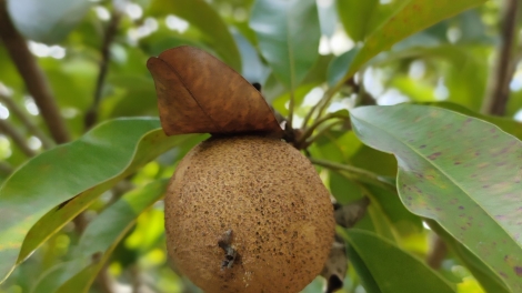 Lời ru em  (Lung oh)