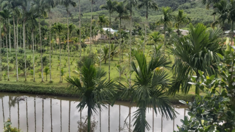 Da ding k’coong Quảng Nam: Zr’năh k’đhap bhrợ pa dưr bhươl cr’noon t’mêê