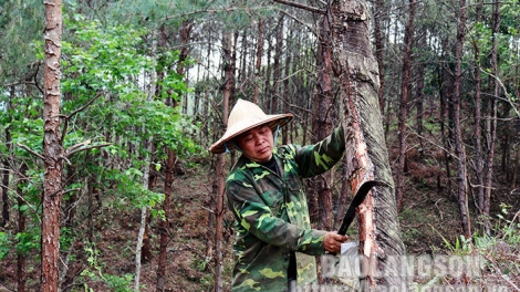 Đhanuôr acoon cóh zr’lụ k’noong k’tiếc Lạng Sơn bhrợ cha k’van tơợ crâng h’ngoo