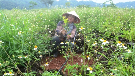 Dak Nông-Mư̆h drŏ kăn pơm tơm lơ̆m atŏk tơ iung mŭk drăm