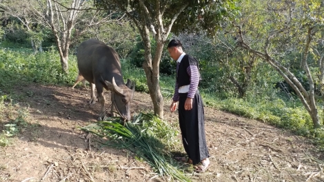 Púng tamz coiz thiuz chaoz tzấu nhản thính làn thzình nin pẹ mìu miền quýa pliát chổm