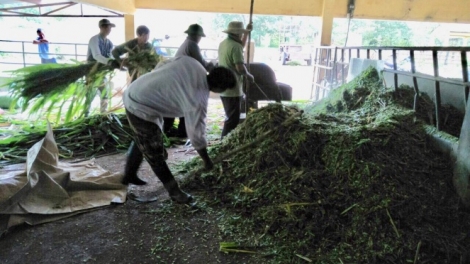 Mkra mjing lehanăn kriê pioh mnơ̆ng ƀơ̆ng mtah hŏng hdră mđam msăm (mđam mtah)