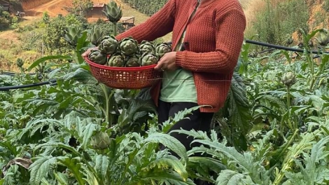 Mơnuih ƀôn sang đăo ơi adai ƀơi Lâm Đồng čơkă Noel mơak mơai