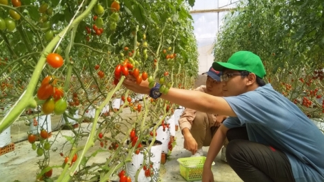 Tiah lơh sa gơn kơnờm Kon Plông ờ gơtùi bơtàu tơnguh phan lơh gơs bơh suơn sre tac bro jat bơta ndrờm bal