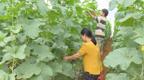 Lơh broă sa Tây Nguyên rơhời ngui pa măy mok, tơnguh uă priă jền lơh geh