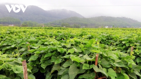 Bhrợ pa dưr nông nghiệp t’viêng lâng pa dưr chr’nắp dal