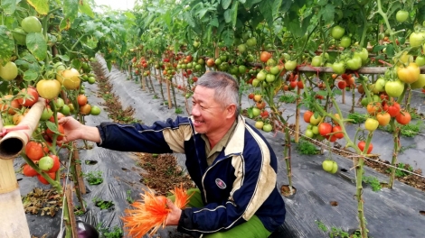 Tsaz yênhx nta suôz luk Hmôngz hnuz 2-12-2022