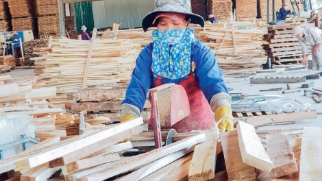 Bộ Nông nghiệp lâng Pa dưr vel bhươl xay moon bhrợ bhr’lâ zr’năh k’đhap ooy pa chô thuế VAT ha doanh nghiệp n’loong